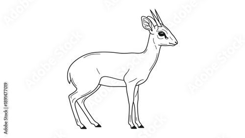 Elegant Antelope in Monochrome: A detailed monochrome illustration of a graceful antelope, capturing its slender physique and majestic horns, set against a pristine backdrop.