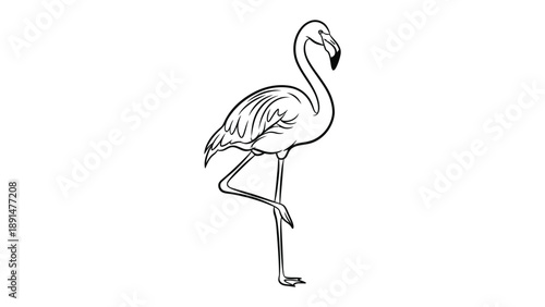 Graceful Flamingo Illustration: A delicately sketched flamingo stands proudly in profile, its slender form and elegant curves conveying the bird's natural beauty.