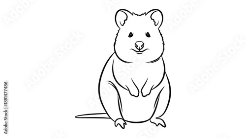 Quokka Line Drawing: An adorable quokka, the happiest animal on Earth, rendered in a simple yet charming line drawing, capturing its iconic smile and endearing features.