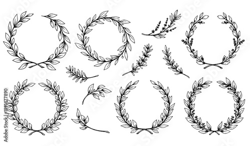 Botanical Laurel Wreaths and Branches Hand-Drawn Vector Collection