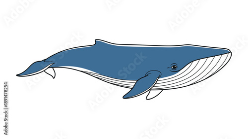 Majestic Marine Giant: A captivating illustration of a magnificent blue whale, showcasing its immense size and grace as it glides through the ocean's depths.