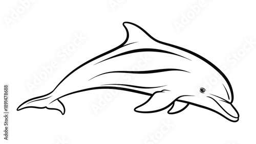 Dolphin: An artistic, elegant, black and white sketch of a streamlined dolphin gracefully swimming, its form captured in fluid strokes. It embodies the essence of the ocean's grace.