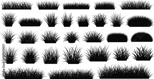 Black silhouettes of various grass types and shapes grass, silhouettes, black, shapes, types, vegetation, foliage, plants, lawn, landscape, nature, outdoor, white background, various, collection, depi