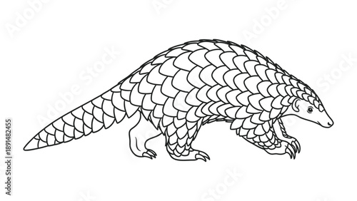 Scaly Pangolin Silhouette: A detailed monochrome outline of a pangolin, showcasing its unique scale-covered body as it ambles across the frame, a fascinating look at this rare creature.