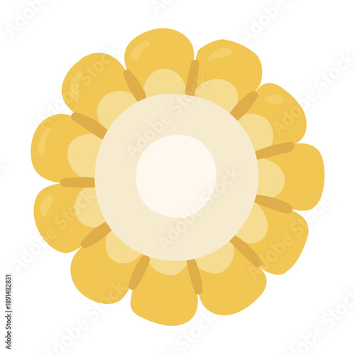 Cute illustration of a cross section of corn