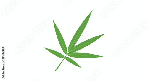 Vibrant green bamboo leaf illustration on a clean white background a symbol of natural growth tropical plant organic design simple aesthetic ecology
