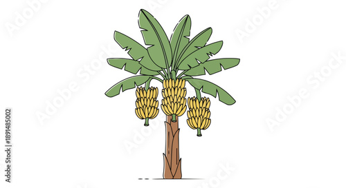A vibrant stylized illustration of a tropical banana plant showcasing bountiful golden fruit clusters amidst broad green foliage a refreshing emblem