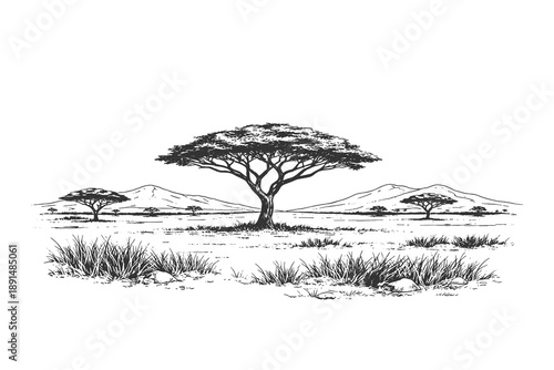African savanna landscape vector illustration in vintage engraving style featuring a solitary acacia tree in a vast grassland with distant mountains.