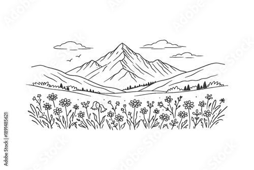 Beautiful spring meadow mountain landscape vector illustration in simple line art style featuring wild flowers in a field with a distant mountain peak.