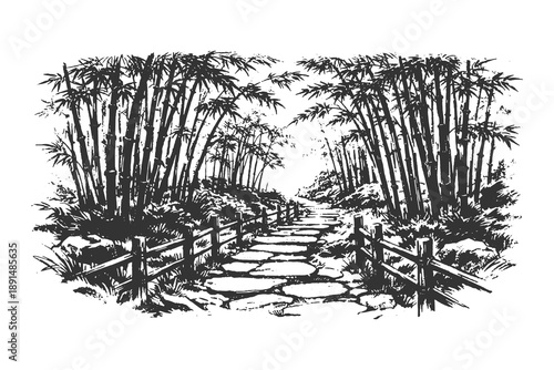 Peaceful bamboo forest path vector illustration in traditional vintage engraving style featuring a stone walkway with wooden fences and lush oriental trees.