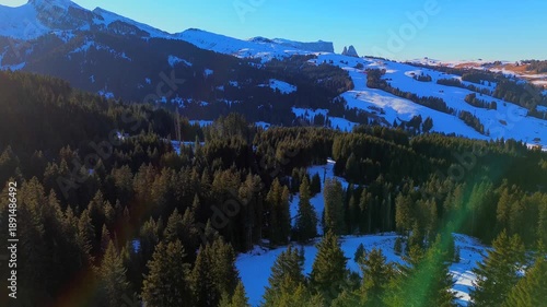 Aerial view. People skiing. Winter holidays. Snow-covered coniferous trees and roads on the tops of the Alpine mountains. Skier Winter. Wide angle drone view. Sun. Alpe di Siusi Italy 20.01.2026