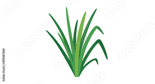 Vibrant green stylized botanical illustration depicting fresh spring shoots of common meadow grass, a natural element for organic design projects