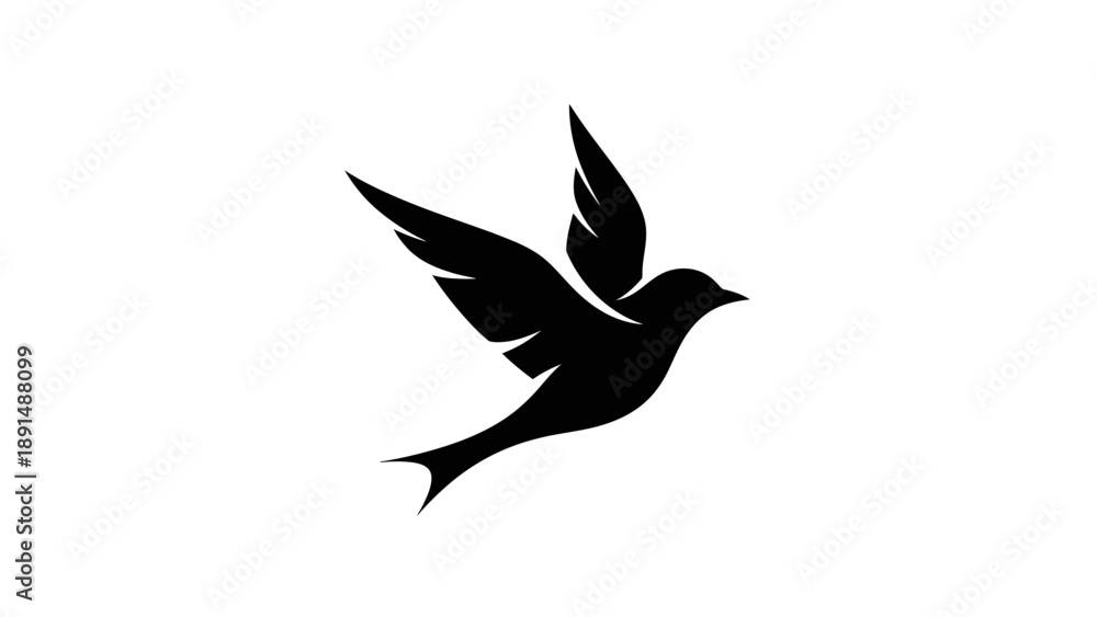 Fototapeta premium Silhouette of a bird in flight with wings spread wide.