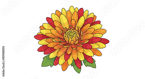 Vibrant autumnal chrysanthemum bloom illustration with layered petals in warm hues, perfect floral graphic