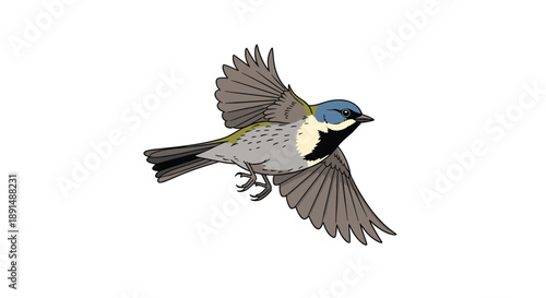 Detailed Illustration of a Small Bird Soaring Downward with Spread Wings on a Pure White Background Art