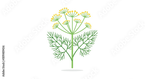 Vibrant green dill plant illustration with delicate yellow flower clusters on a pristine white background. A fresh botanical emblem for culinary