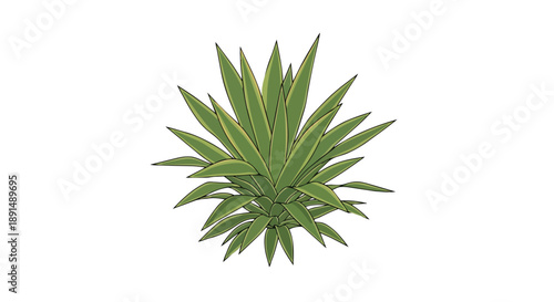 A vibrant botanical illustration of a robust, spiky green plant, showcasing its distinctive sharp-edged leaves and natural geometric growth pattern,