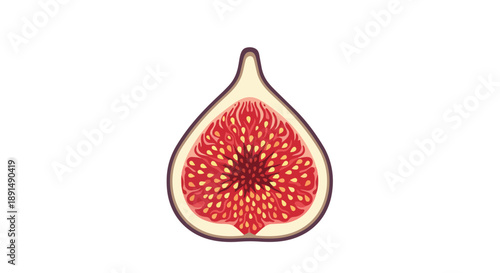 A detailed illustration of a ripe fig cut in half exposing its succulent red flesh and numerous tiny seeds a symbol of natural sweetness and