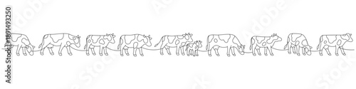 Full cow herd in a row. Continuous line illustration of rural farming life