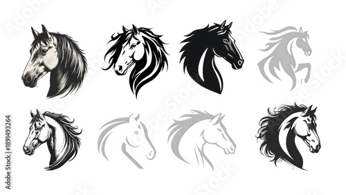 Black and white logo icon illustration of a horse head with stylish vector art.