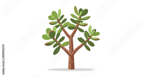 Stylized jade plant illustration featuring lush green leaves on a branching brown stem, perfect for digital projects