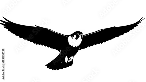 Silhouette of a falcon bird in flight with wings spread wide.
