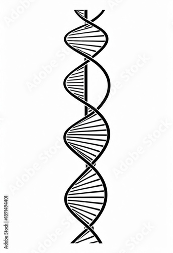 DNA Helix