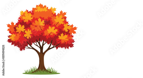 Vibrant autumnal tree illustration showcasing colorful maple foliage with rich reds and oranges, standing on a patch of green grass with artistic