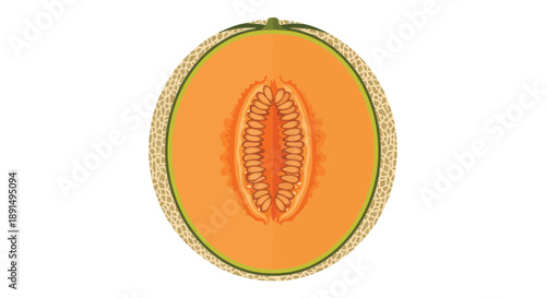 A vibrant illustration showcasing the precise cross-section of a fresh cantaloupe melon, revealing its succulent orange flesh and neatly embedded