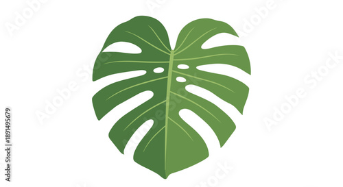 Fresh green tropical leaf illustration with characteristic splits a clean natural design element for botanical themes and refreshing modern organic
