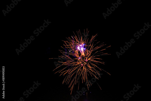Fireworks blooming in the dark night sky