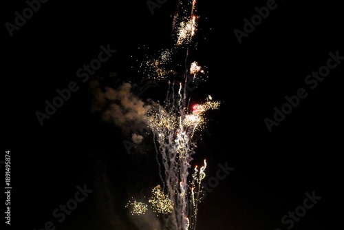 Fireworks blooming in the dark night sky