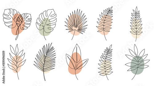 Ten different tropical leaf designs are rendered in a modern single line art style with colorful abstract splashes.