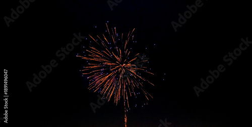 Fireworks blooming in the dark night sky