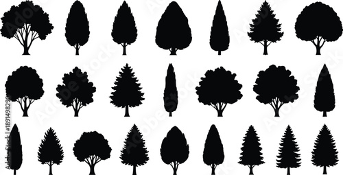 Tree silhouette collection, various forest trees shapes, deciduous and pine plants, black nature vector illustration set