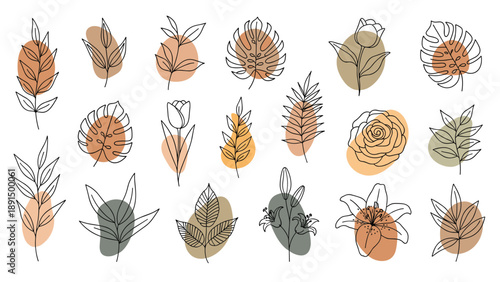 Large collection of diverse botanical line drawings featuring leaves and flowers paired with soft colorful abstract backgrounds.