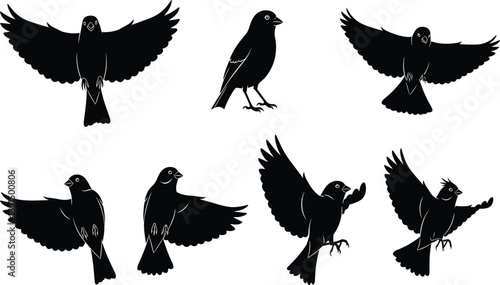 Black silhouette birds in various flying and perching poses white background
