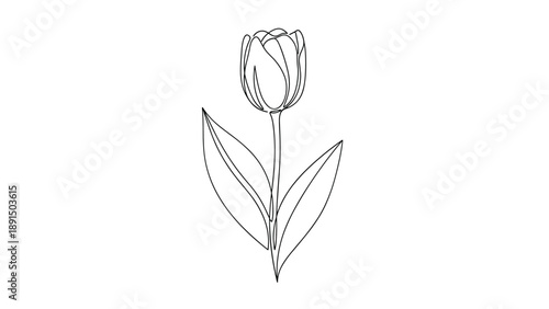 Minimalist black continuous line drawing of a single tulip flower with two large leaves against a clean white background.
