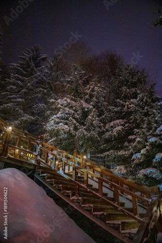 A wooden walkway winds through snow-covered trees at night, illuminated by soft, warm lights.