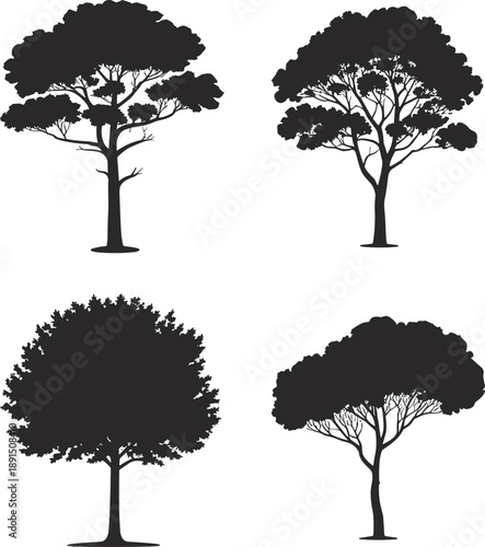 Tree silhouette collection, black forest icons set, isolated white background, deciduous and evergreen trees, nature vector illustration pack