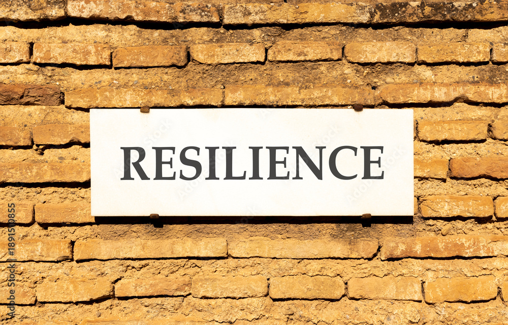 Obraz premium Resilience symbol. Concept word Resilience on beautiful white marble sign plate. Beautiful ancient brick wall background. Business resilience concept. Copy space.