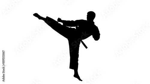 Silhouette of a martial artist performing a side kick.