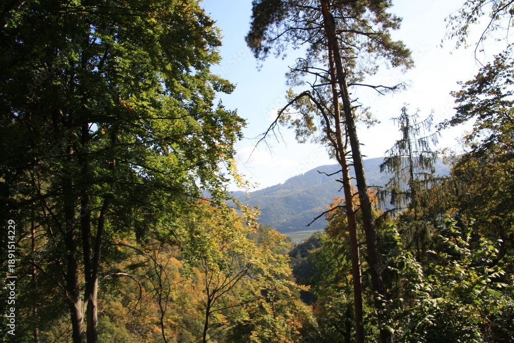 Fototapeta premium Jesienne wedrowki.