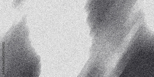 Abstract monochrome composition with soft, blurred shapes and a pervasive grainy texture, creating a moody and atmospheric visual for artistic backgrounds and conceptual imagery