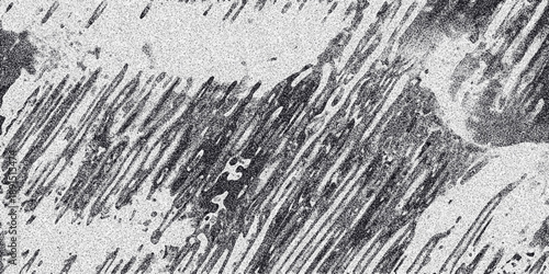Detailed monochrome abstract texture with sharp diagonal brushstroke-like lines and speckled grain, offering a visually rich and dynamic surface for creative projects and backgrounds