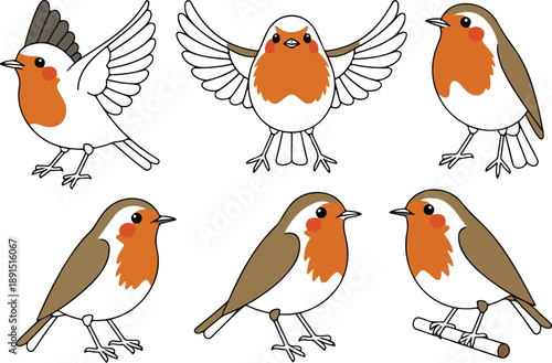 Cute Cartoon Robin Bird Vector Set Flying, Standing, and Perched Poses