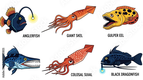 Deep Sea Creatures: Anglerfish, Squid, Eel, Dragonfish, Colossal Squid