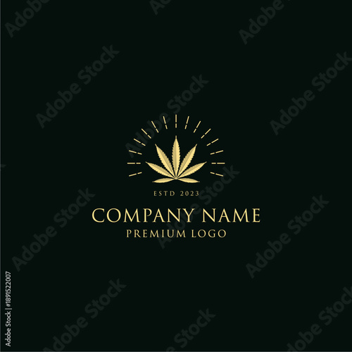 Premium logo company