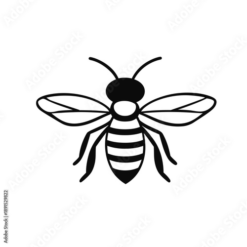 Simple black and white minimalist vector bee illustration with striped body and transparent wings flat design icon for nature concept and environment symbol