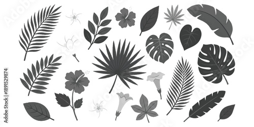 Collection of stylized tropical leaves and flowers, monochrome vector illustration for design elements